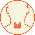 Thyroid